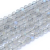 Natural Labradorite Beads Strands G-I279-E19-1