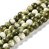 Baking Paint Glass Bead Strands GLAA-H031-01C-14-1