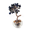 Natural Lapis Lazuli Chips Tree of Life Decorations DJEW-Q010-01C-1