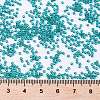 MIYUKI Round Rocailles Beads SEED-JP0010-RR2406-4