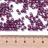 8/0 Glass Seed Beads X1-SEED-A017-3mm-1121-3