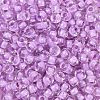 TOHO 3/0 Round Beads SEED-XTR03-0943-2