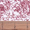 MIYUKI Delica Beads SEED-X0054-DB0282-4
