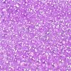 6/0 Inside Colours Fringe Glass Seed Beads X1-SEED-A034-03B-3