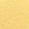 TOHO Round Seed Beads SEED-JPTR11-0902-2