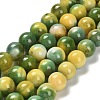 Dyed Natural Agate Beads Strands G-G203-09G-10mm-2