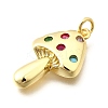 Brass Micro Pave Cubic Zirconia Pendants KK-F896-03G-2