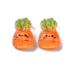 Cartoon Transparent Resin Cabochons CRES-R459-01C-1