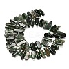 Natural Green Rutilated Quartz Beads Strands G-Z124-B02-01-3