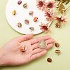 10Pairs 10 Colors Opaque Resin & Walnut Wood Stud Earring Findings MAK-CJ0001-11-4