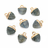 Natural Labradorite Charms G-N326-121-05-1