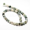 Natural Tree Agate Beads Strands G-G735-02F-10mm-2