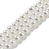 Electroplated Natural Shell Beads Strands SHEL-F008-03A-01-1