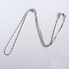 Tarnish Resistant 304 Stainless Steel Box Chain Necklaces STAS-O053-27P-2