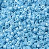 Baking Paint Glass Seed Beads X-SEED-S042-15A-10-3