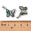 Brass & Paua Shell & Clear Cubic Zirconia Pendants KK-G538-02P-3