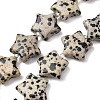 Natural Dalmatian Jasper Beads Strands G-K359-E12-2