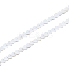 2 Strands Natural Freshwater Shell Beads Strands SHEL-HS0001-13-1