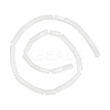 1 Strand Natural Freshwater Shell Beads Strands BSHE-PH0001-55A-1