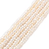 Natural Cultured Freshwater Pearl Beads Strands PEAR-I007-02I-01-2