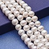 Natural Cultured Freshwater Pearl Beads Strands PEAR-P060-19-1