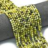 Natural Yellow Turquoise(Jasper) Beads Strands G-A260-A18-01-1