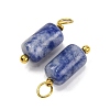 Natural Sodalite Cloumn Pendants LS-STAS-H221-04G-06-2