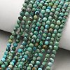 Natural HuBei Turquoise Beads Strands G-P629-A04-03-2