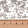Glass Seed Beads GL-CBA5413-02I-3