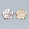 White Shell Beads X-SSHEL-S260-094A-2