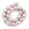 Natural Cultured Freshwater Pearl Beads Strands PEAR-P062-10B-3