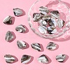 20Pcs Handmade Lampwork Beads LAMP-YW0001-61A-1