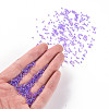 12/0 FGB Grade A Round Glass Seed Beads SEED-N001-E-445-4