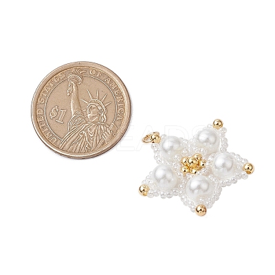 Glass Seed Beaded Star Pendants PALLOY-MZ00524-02-1