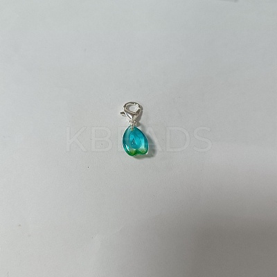 Glass Pendant Decooration HJEW-PH01719-03-1