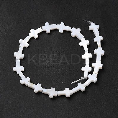 Natural Freshwater Shell Beads Strands X-BSHE-E026-18-1