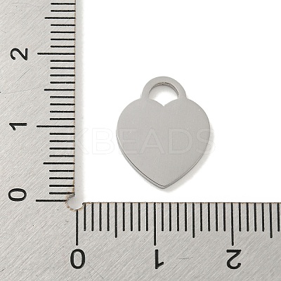 Non-Tarnish 304 Stainless Steel Pendants FIND-M017-01P-M-1