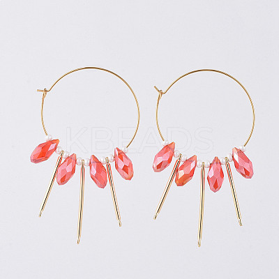 316L Surgical Stainless Steel Hoop Earring EJEW-JE03678-02-1