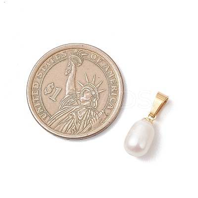 Natural Cultured Freshwater Pearl Rice Charms PALLOY-JF04823-1