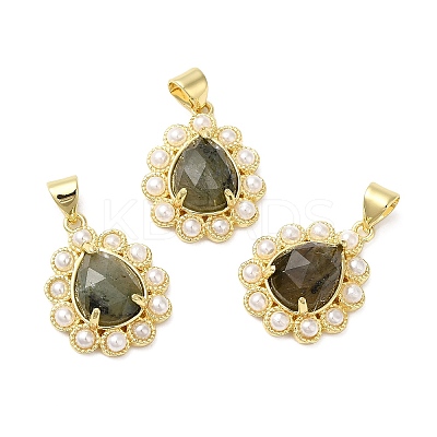 Ion Plating(IP) Natural Mixed Gemstone Teardrop with Plastic Pearl Beaded Pendant G-E599-01G-1