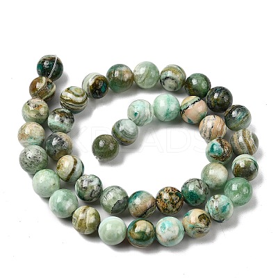 Natural Green Line Jasper  Beads Strands G-L639-A01-10mm-1