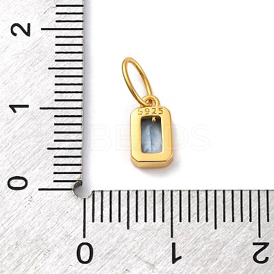 925 Sterling Silver Cubic Zirconia Charms STER-NH0014-01G-03-1