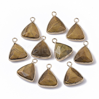 Natural Tiger Eye Pendants G-S359-029C-1