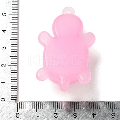 Luminous PVC Pendants LS-KY-P019-01B-1