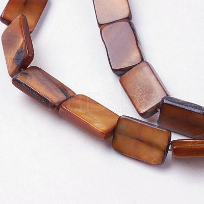 Natural Freshwater Shell Beads Strands BSHE-L036-25-1