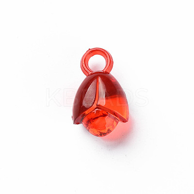 Transparent Acrylic Pendants MACR-N013-031-1