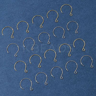 24Pcs 2 Colors Ion Plating(IP) 304 Stainless Steel Earring Hooks STAS-FS0001-65-1