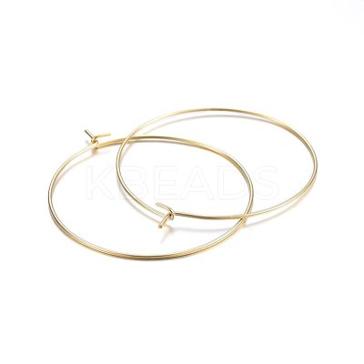 316 Surgical Stainless Steel Hoop Earrings STAS-P210-26G-01-1