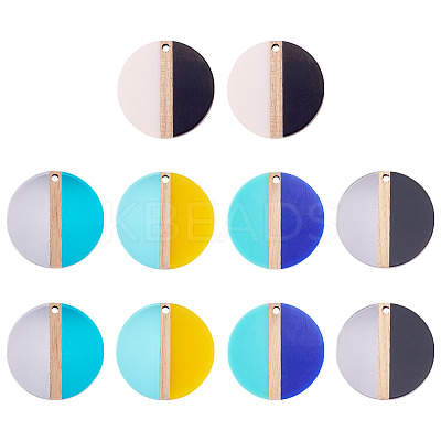 10Pcs 5 Colors Transparent & Opaque Resin & Wood Pendants RESI-TA0004-67-1