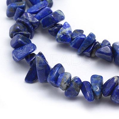 Natural Lapis Lazuli Beads Strands G-P332-50-1